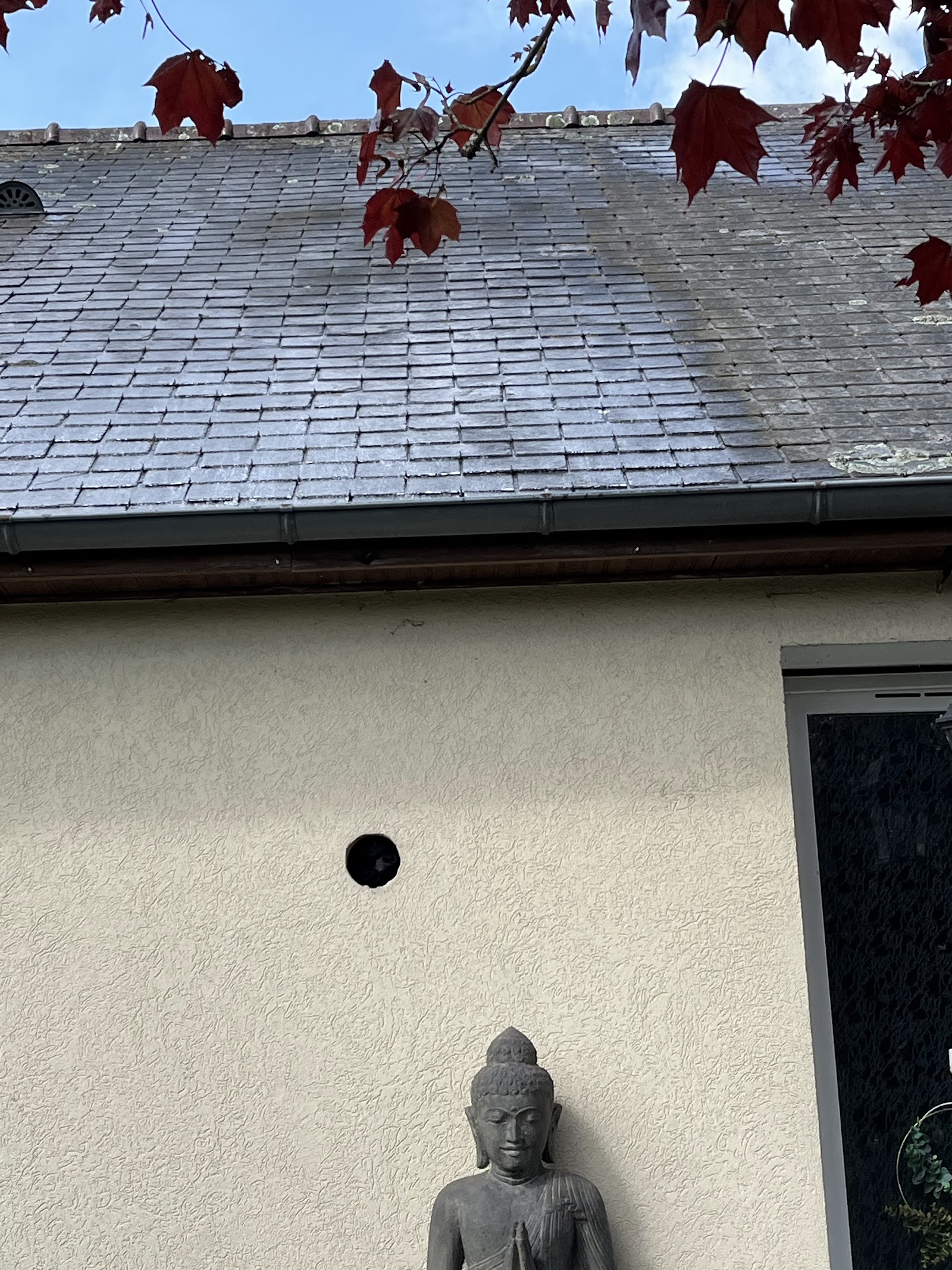 Détail d'une toiture en ardoise après traitement